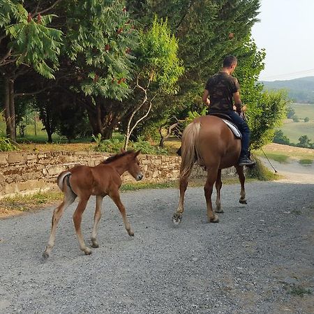Agriturismo Corte Del Gallo Rivergaro Bagian luar foto