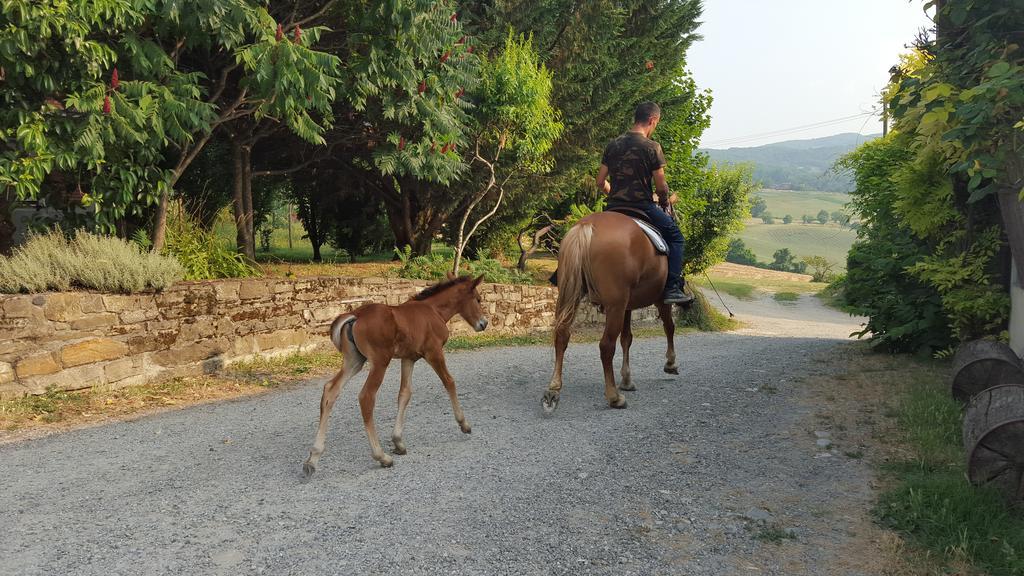 Agriturismo Corte Del Gallo Villa Rivergaro Bagian luar foto